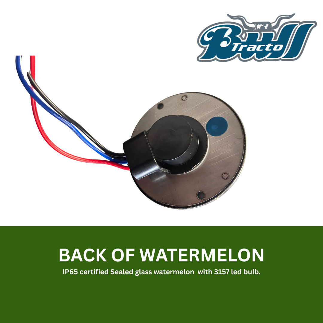 3157 Glass Watermelon white lens, with included LED bulb Red Single color