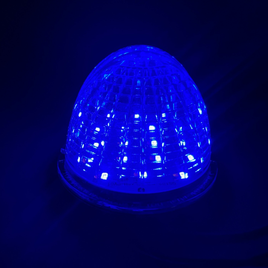 Watermelon Dual Revolution Amber/Blue Strobe Clear Lens LED