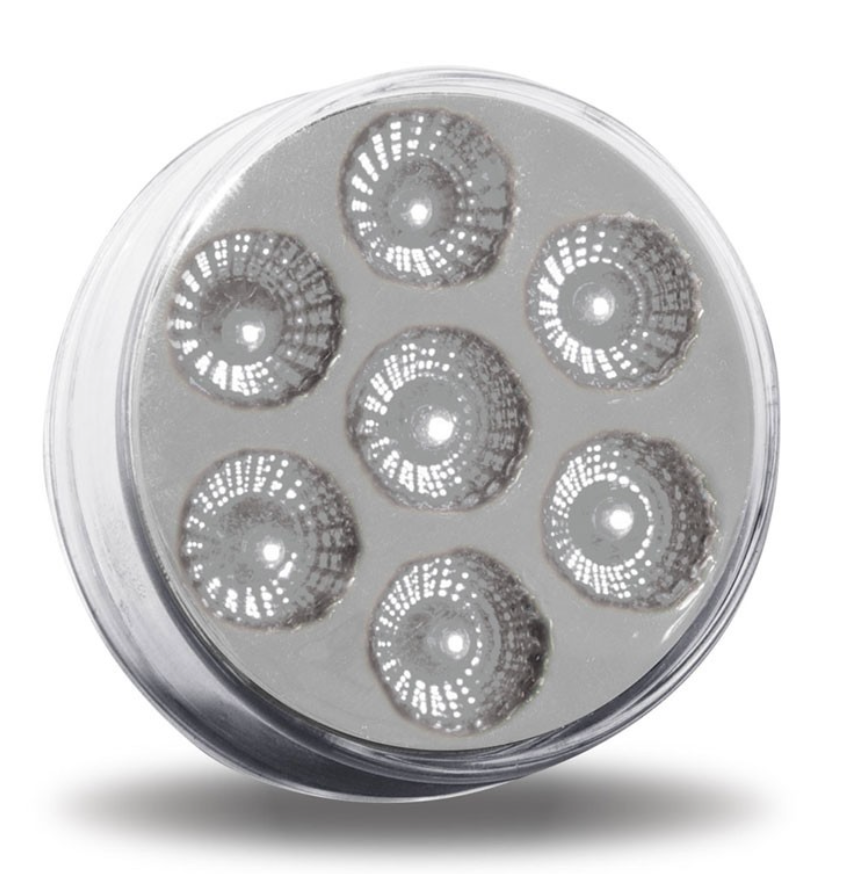 2" Light Dual Revolution Amber/Red LED