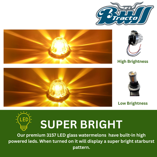 3157 Glass Watermelon white lens, with included LED bulb Amber Single color