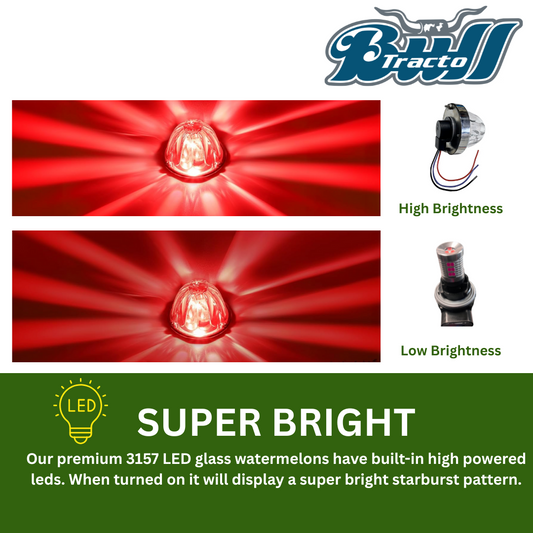 3157 Glass Watermelon white lens, with included LED bulb Red Single color