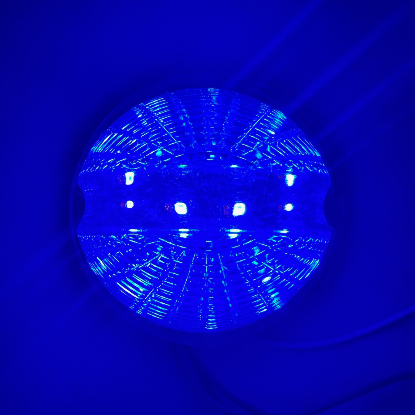 Watermelon Dual Revolution Amber/Blue Clear Lens LED