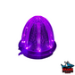 Watermelon Dual Revolution Red/Purple Clear Lens LED